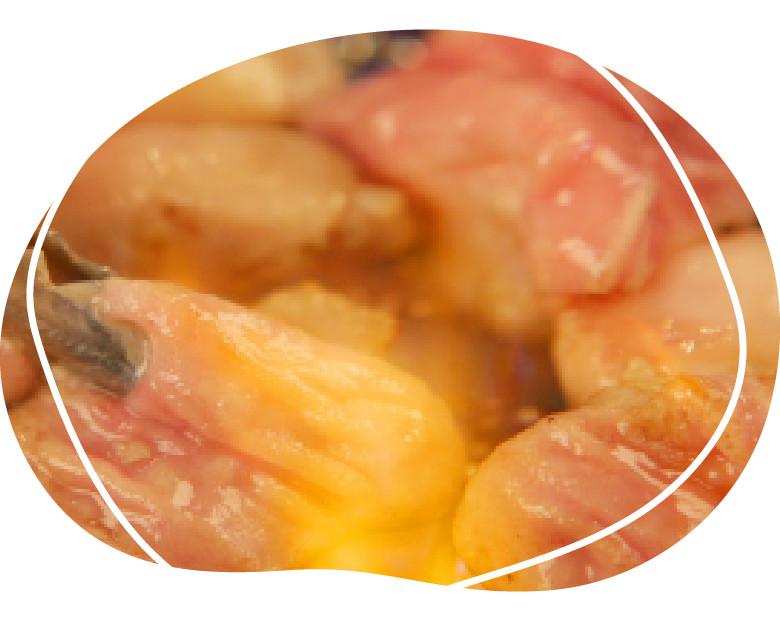 リーズナブルでも、お腹いっぱい! 満足コース